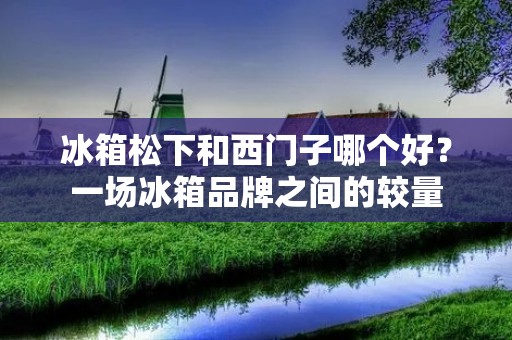 冰箱松下和西门子哪个好?一场冰箱品牌之间的较量 冰箱松下和西门子哪个好?一场冰箱品牌之间的较量