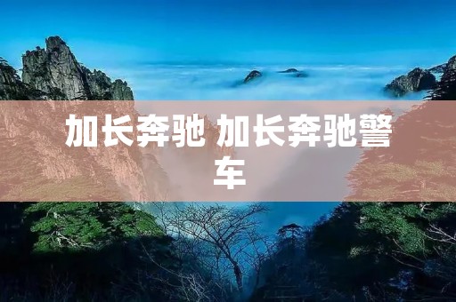 加长奔驰 加长奔驰警车 加长奔驰 加长奔驰警车