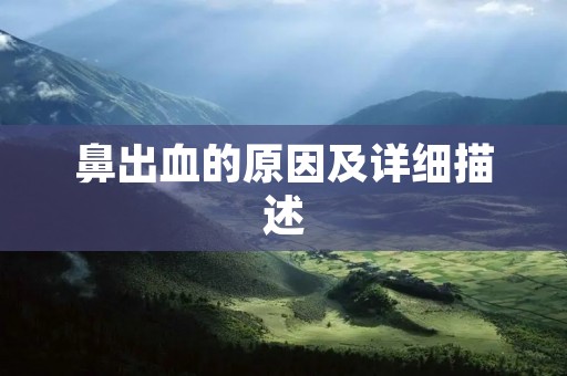 鼻出血的原因及详细描述