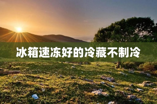 冰箱速冻好的冷藏不制冷:解决方法与注意事项 冰箱速冻好的冷藏不制冷:解决方法与注意事项