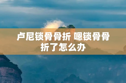 卢尼锁骨骨折 嗯锁骨骨折了怎么办 卢尼锁骨骨折 嗯锁骨骨折了怎么办