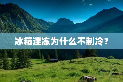冰箱速冻为什么不制冷? 冰箱速冻为什么不制冷?