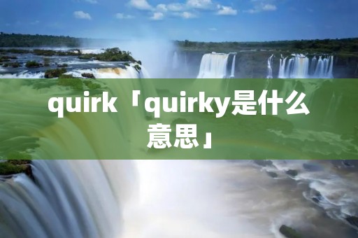 quirk「quirky是什么意思」