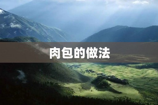 肉包的做法:香气四溢的美味佳肴 肉包的做法:香气四溢的美味佳肴