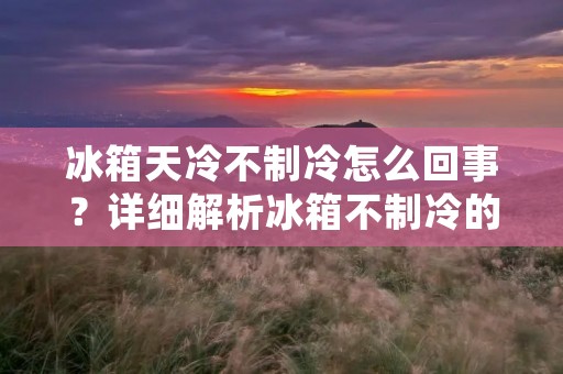 冰箱天冷不制冷怎么回事?详细解析冰箱不制冷的原因及解决方法