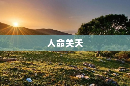 人命关天:呼吁加强道路交通安全管理