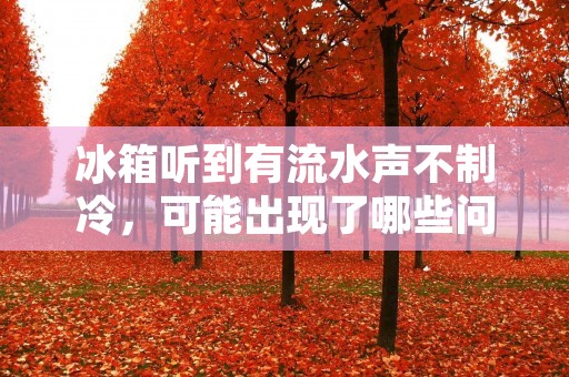 冰箱听到有流水声不制冷,可能出现了哪些问题? 冰箱听到有流水声不制冷,可能出现了哪些问题?