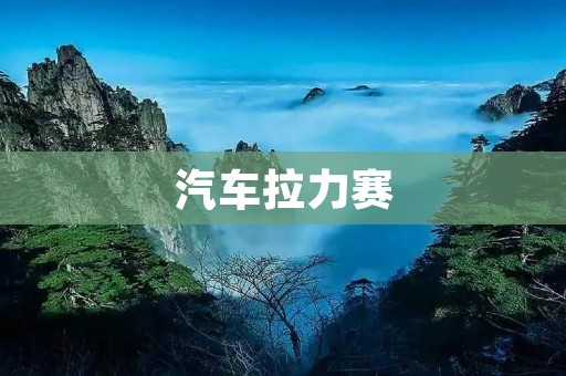 汽车拉力赛：挑战极限速度的赛道