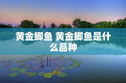 黄金鲫鱼 黄金鲫鱼是什么品种