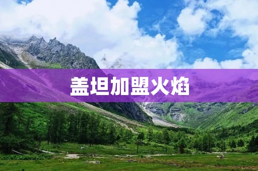 盖坦加盟火焰：点燃篮球场上的**