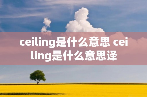 ceiling是什么意思 ceiling是什么意思译