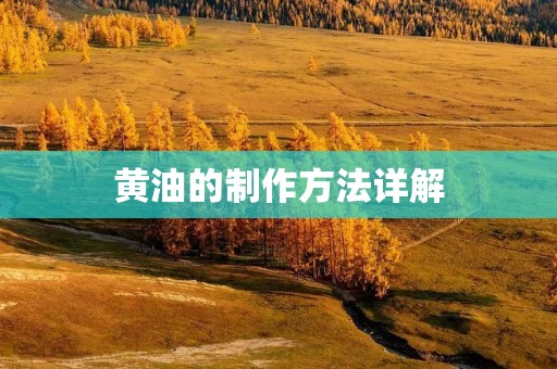 黄油的制作方法详解