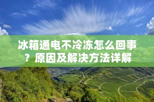 冰箱通电不冷冻怎么回事？原因及解决方法详解