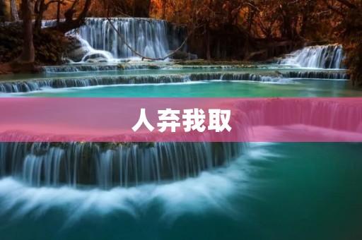人弃我取:勇敢追求梦想的背后