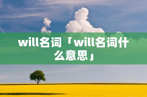 will名词「will名词什么意思」