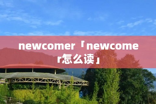newcomer「newcomer怎么读」