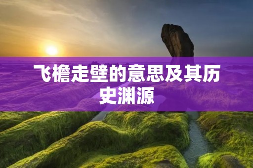 飞檐走壁的意思及其历史渊源