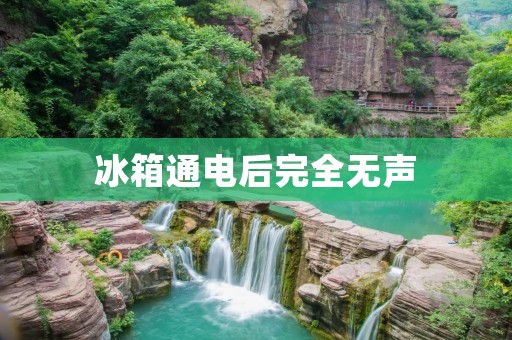 冰箱通电后完全无声:原因及解决方法