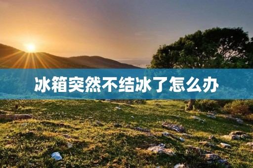 冰箱突然不结冰了怎么办 冰箱突然不结冰了怎么办