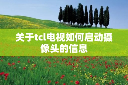 关于tcl电视如何启动摄像头的信息 关于tcl电视如何启动摄像头的信息