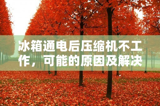 冰箱通电后压缩机不工作,可能的原因及解决方法 冰箱通电后压缩机不工作,可能的原因及解决方法