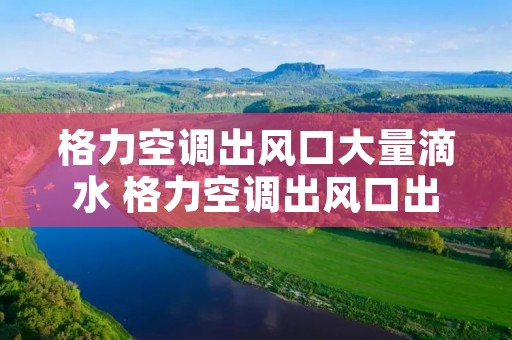 格力空调出风口大量滴水 格力空调出风口出水怎么办