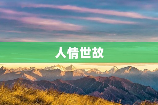 人情世故:洞察人际关系的智慧