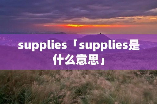 supplies「supplies是什么意思」