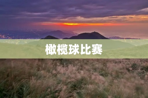 橄榄球比赛：力与技的碰撞