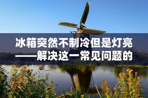 冰箱突然不制冷但是灯亮——解决这一常见问题的方法