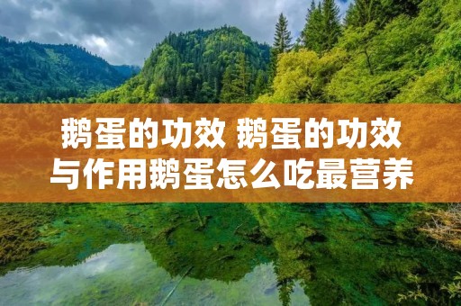 鹅蛋的功效 鹅蛋的功效与作用鹅蛋怎么吃最营养