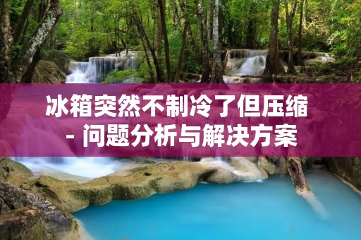 冰箱突然不制冷了但压缩 - 问题分析与解决方案 冰箱突然不制冷了但压缩 - 问题分析与解决方案
