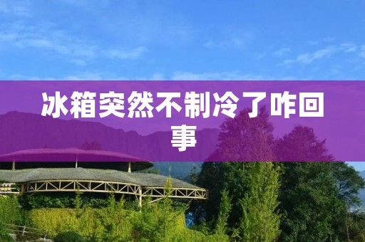 冰箱突然不制冷了咋回事 冰箱突然不制冷了咋回事