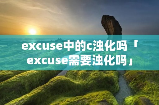 excuse中的c浊化吗「excuse需要浊化吗」 excuse中的c浊化吗「excuse需要浊化吗」
