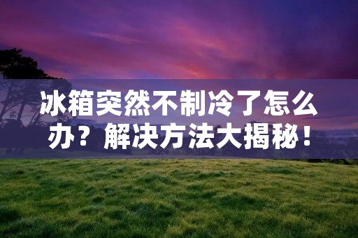 冰箱突然不制冷了怎么办?解决方法大揭秘! 冰箱突然不制冷了怎么办?解决方法大揭秘!