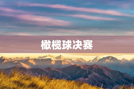 橄榄球决赛：荣耀与**的巅峰对决