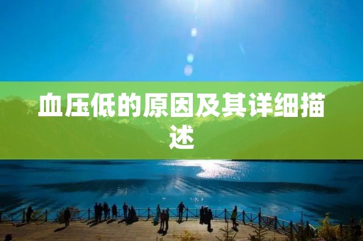 血压低的原因及其详细描述