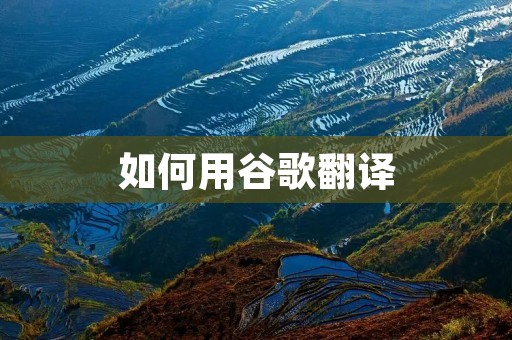 如何用谷歌翻译