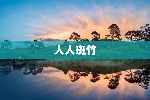 人人斑竹:社区的守护者