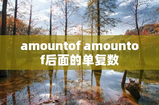 amountof amountof后面的单复数