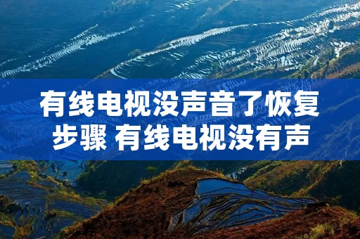 有线电视没声音了恢复步骤 有线电视没有声音是什么原因?如何处理?