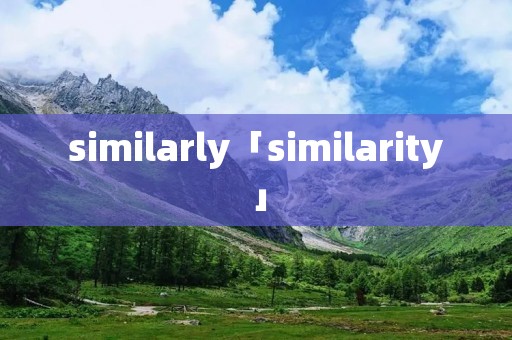 similarly「similarity」 similarly「similarity」