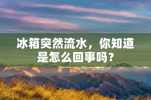 冰箱突然流水,你知道是怎么回事吗? 冰箱突然流水,你知道是怎么回事吗?