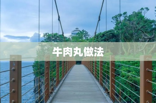 牛肉丸做法:美味可口的家常料理 牛肉丸做法:美味可口的家常料理