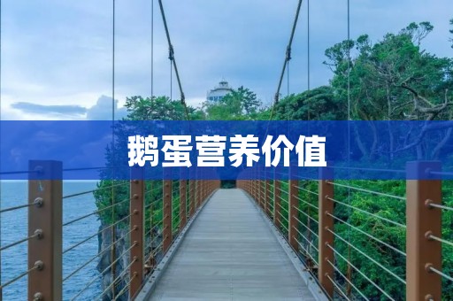 鹅蛋营养价值:探究鹅蛋的健康好处