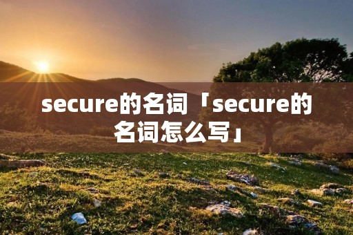 secure的名词「secure的名词怎么写」