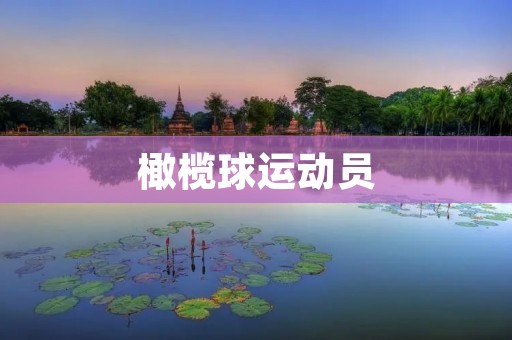 橄榄球运动员:无畏勇士的传奇 橄榄球运动员:无畏勇士的传奇