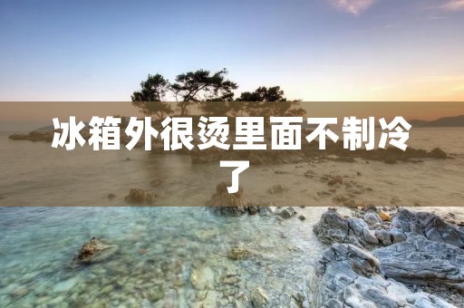 冰箱外很烫里面不制冷了:详细描述 冰箱外很烫里面不制冷了:详细描述