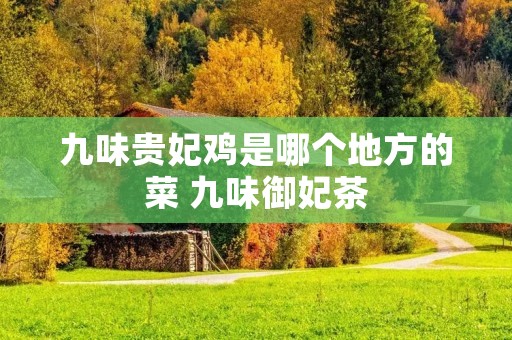 九味贵妃鸡是哪个地方的菜 九味御妃茶