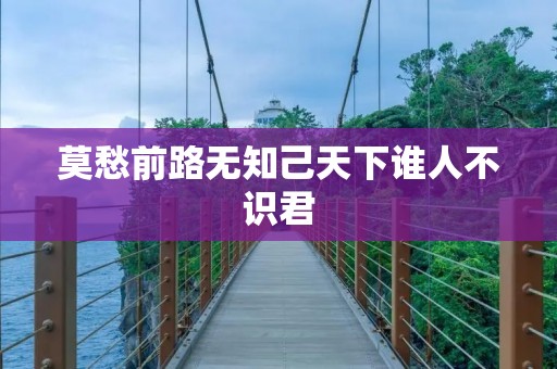 莫愁前路无知己天下谁人不识君